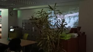 第4回ジョブステ映画鑑賞会を開催しました。
