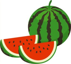 暑い夏を乗り切ろう～☀