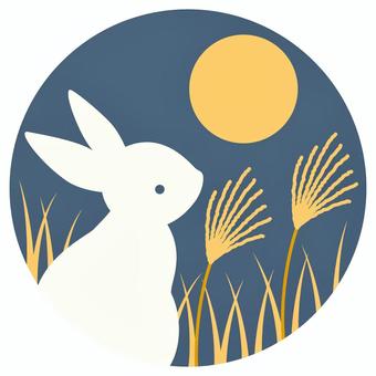 9月スケジュールのお知らせです🐰